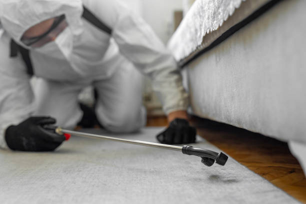 Professional Bed Bug Control technician working in Kleberg County County, TX